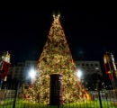 árbol de navidad con luces encendidas