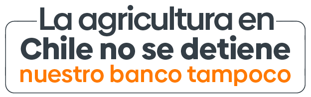 La agricultura en Chile no se detiene nuestro banco tampoco