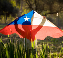 Niño sosteniendo volantín de bandera chilena