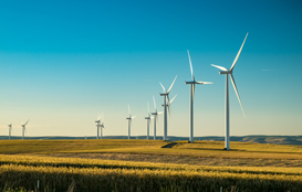 Planta de energía eólica